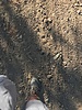photo thumbnail #10