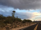photo thumbnail #15