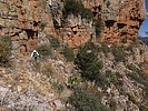 photo thumbnail #8