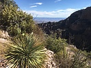 photo thumbnail #13