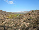 photo thumbnail #2