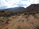 photo thumbnail #6