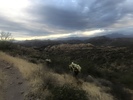 photo thumbnail #2