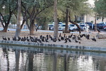 photo thumbnail #12