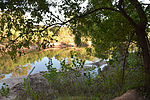 photo thumbnail #3