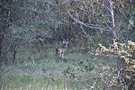 photo thumbnail #14