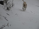 photo thumbnail #9