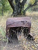 photo thumbnail #12