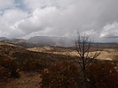 photo thumbnail #13