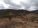 photo thumbnail #15