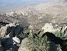 photo thumbnail #12