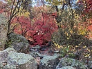 photo thumbnail #3
