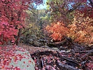 photo thumbnail #4