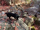photo thumbnail #12