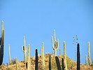 photo thumbnail #2