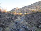 photo thumbnail #4