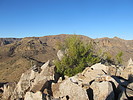 photo thumbnail #7