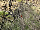 photo thumbnail #10