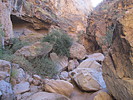 photo thumbnail #15
