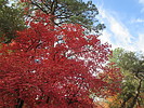 photo thumbnail #14