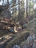 photo thumbnail #7