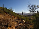 photo thumbnail #3