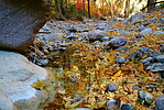 photo thumbnail #14
