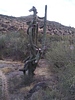 photo thumbnail #2