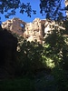 photo thumbnail #14