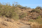 photo thumbnail #14