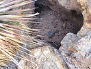 photo thumbnail #9