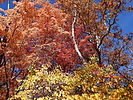 photo thumbnail #9