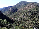 photo thumbnail #11
