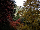 photo thumbnail #14