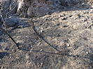 photo thumbnail #9