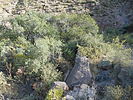 photo thumbnail #13