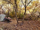 photo thumbnail #7