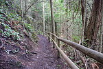 photo thumbnail #3