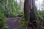 photo thumbnail #15