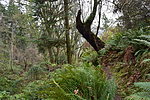 photo thumbnail #1