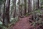 photo thumbnail #6