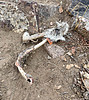 photo thumbnail #13