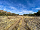photo thumbnail #14