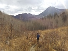 photo thumbnail #6