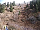 photo thumbnail #7