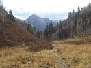 photo thumbnail #10