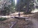 photo thumbnail #12