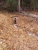 photo thumbnail #15