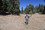 photo thumbnail #2