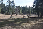 photo thumbnail #10